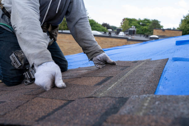 Best Metal Roofing Contractor  in Oakdale, CA